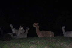 eerste foto group 2